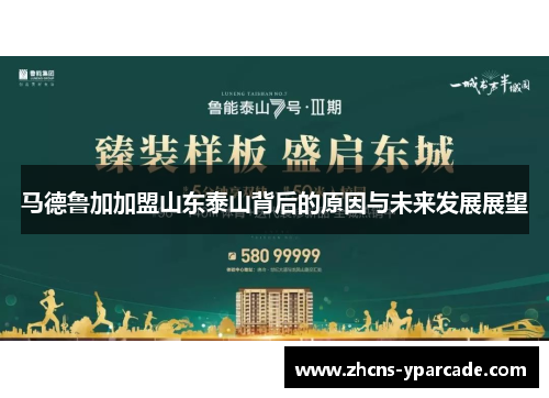 马德鲁加加盟山东泰山背后的原因与未来发展展望