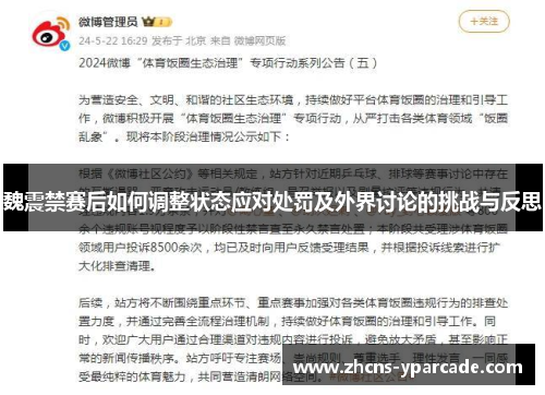 魏震禁赛后如何调整状态应对处罚及外界讨论的挑战与反思