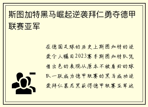 斯图加特黑马崛起逆袭拜仁勇夺德甲联赛亚军 斯图加特黑马崛起逆袭拜仁勇夺德甲联赛亚军