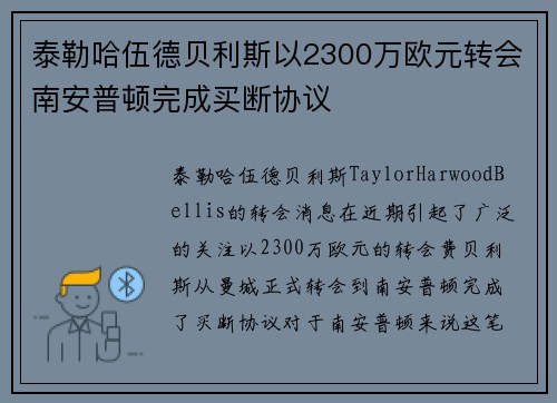 泰勒哈伍德贝利斯以2300万欧元转会南安普顿完成买断协议